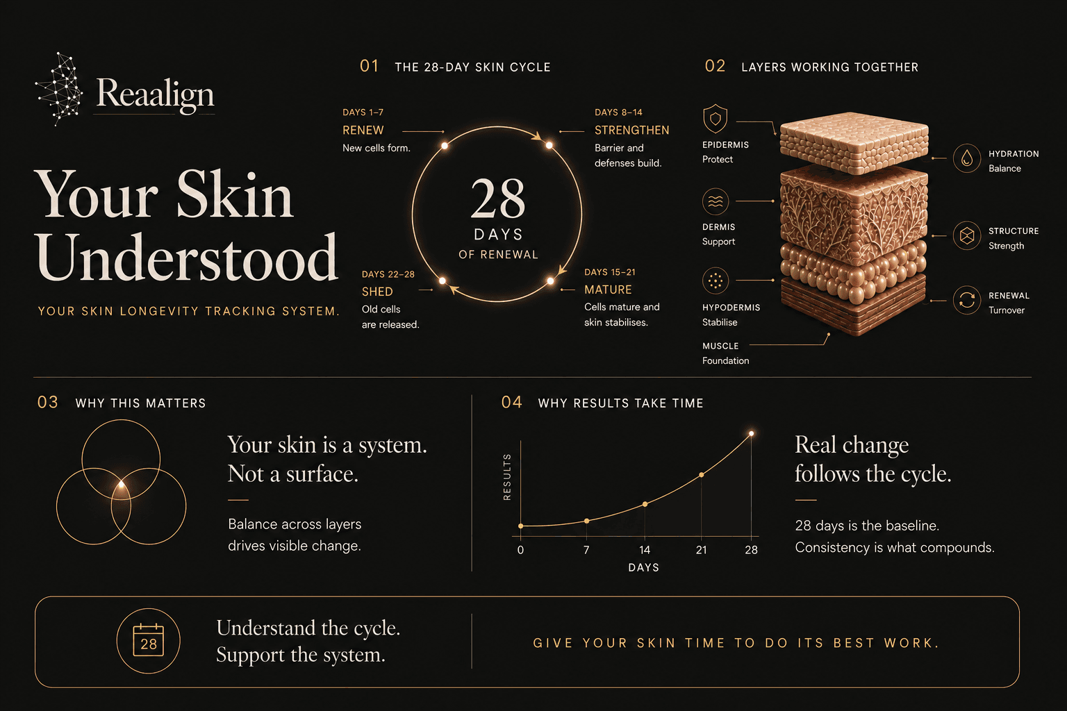 Reaalign skin longevity guide showing the 28-day skin cycle, skin layers, and why results take time